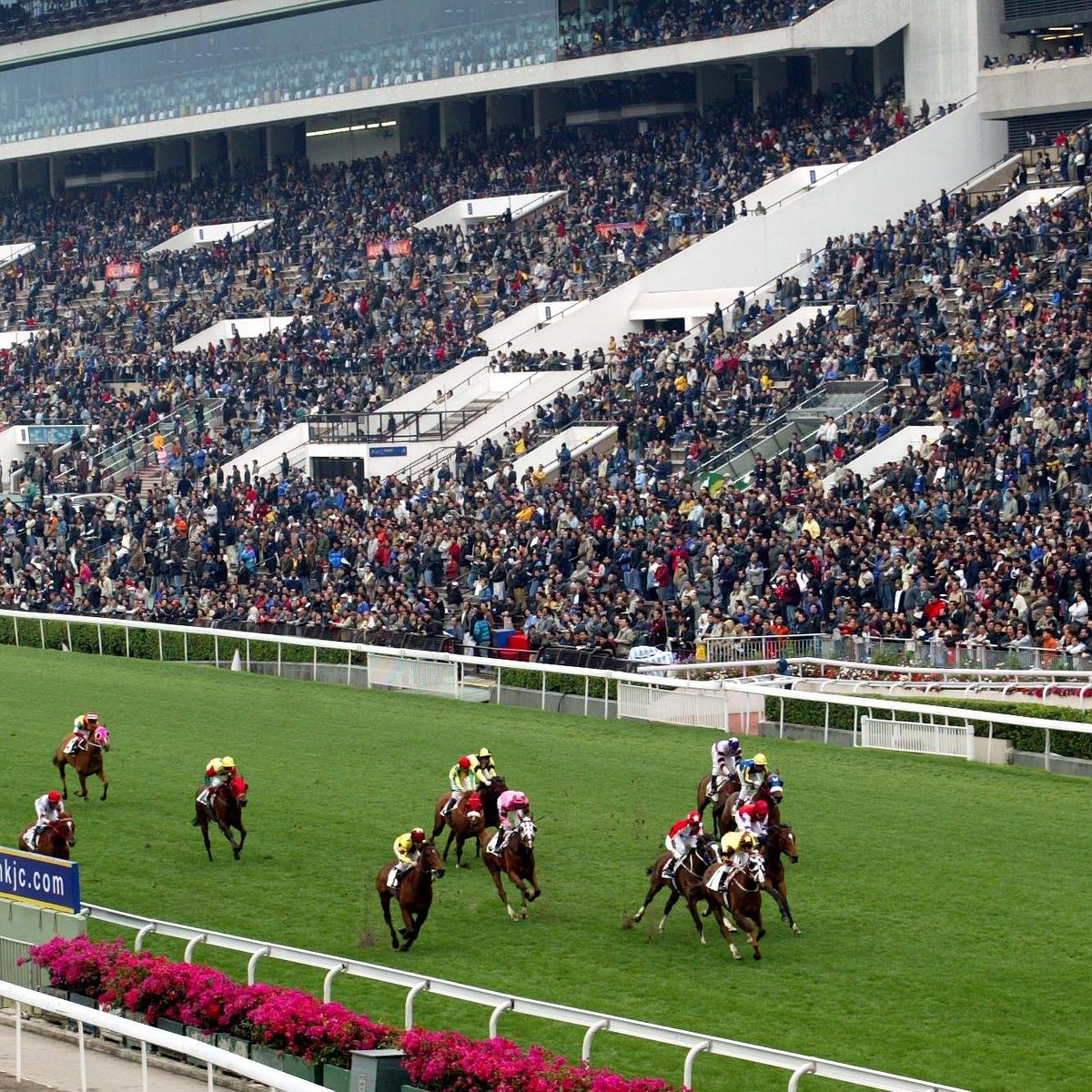 Скачки китай. Ипподром ша Тин. Happy Valley Hong Kong скачки. Hong Kong Jockey Club. Скачки ипподром вид с трибуны.