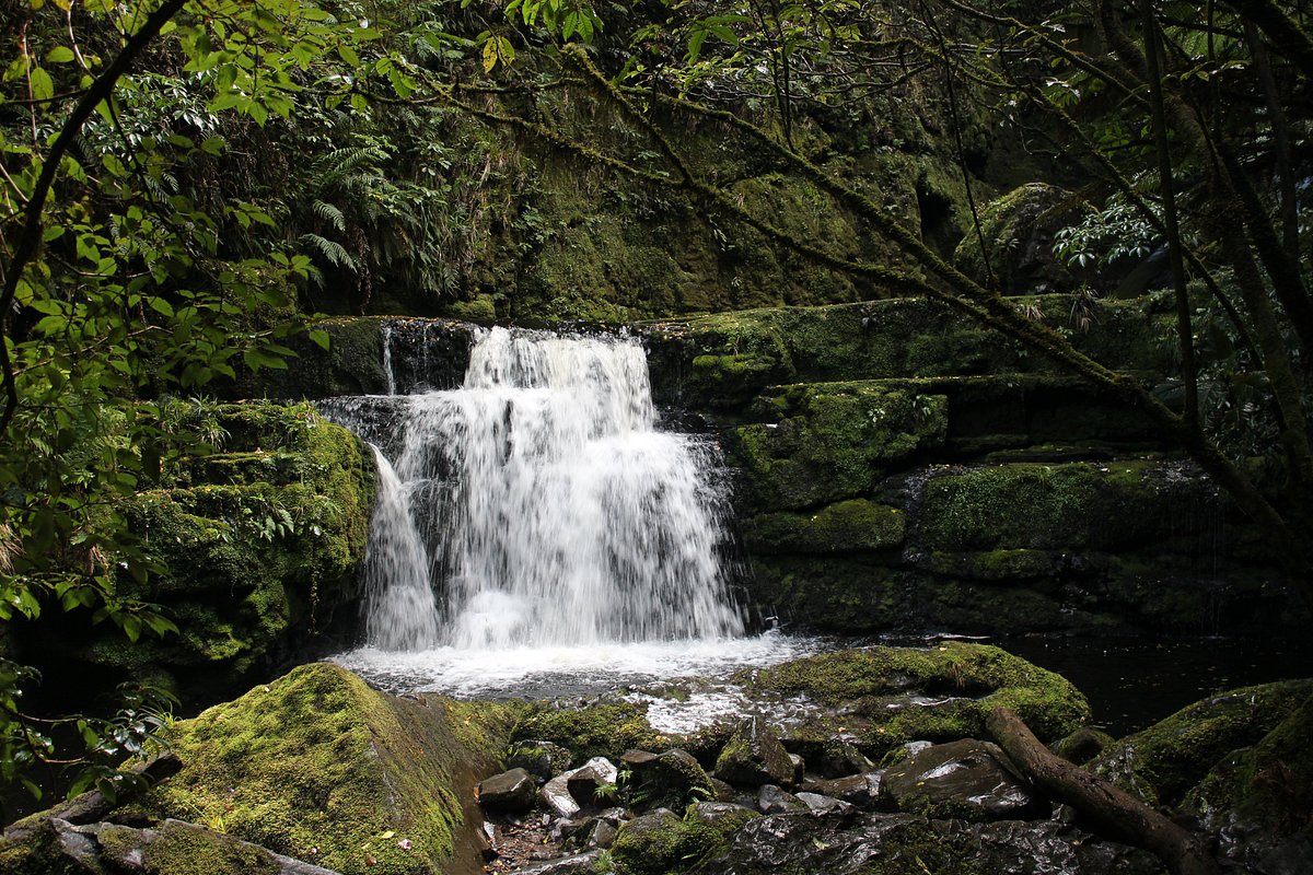 McLean Falls Walk