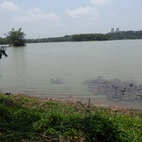 Hebbal lake (Bengaluru) - 2021 All You Need to Know Before You Go (with ...