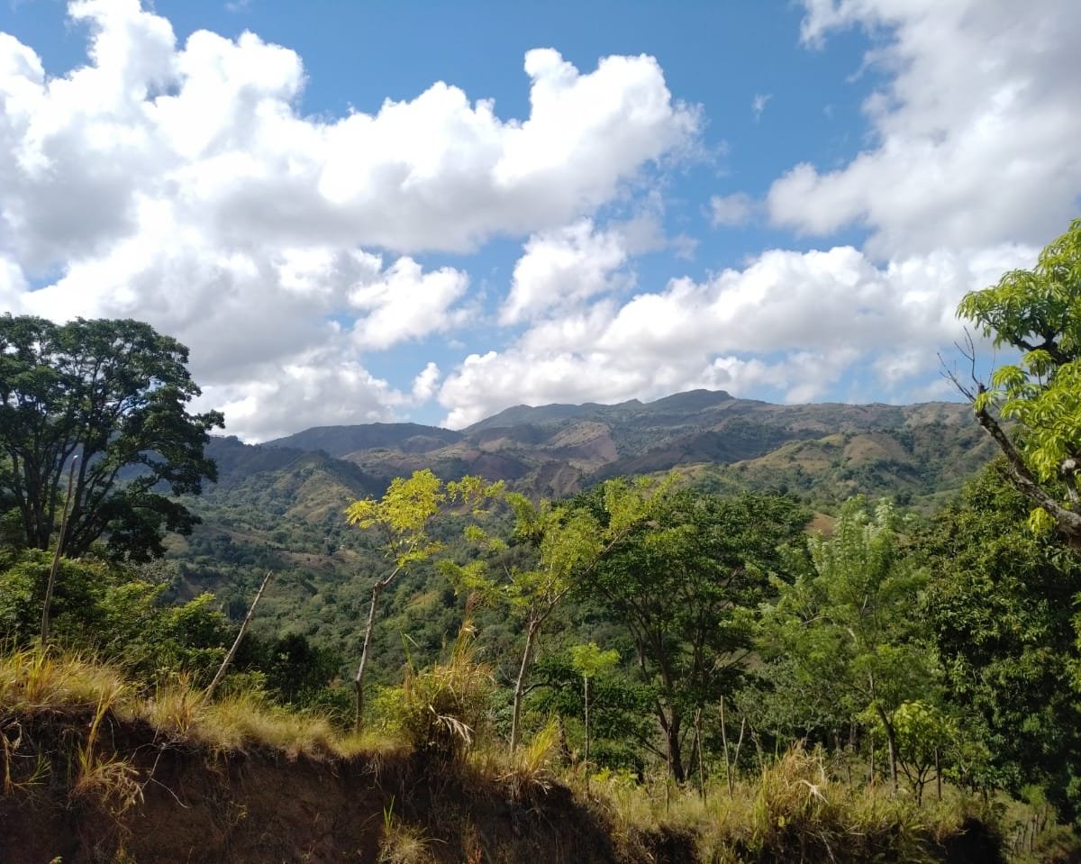 Monumento Natural Pico Diego de Ocampo (Santiago de los Caballeros ...