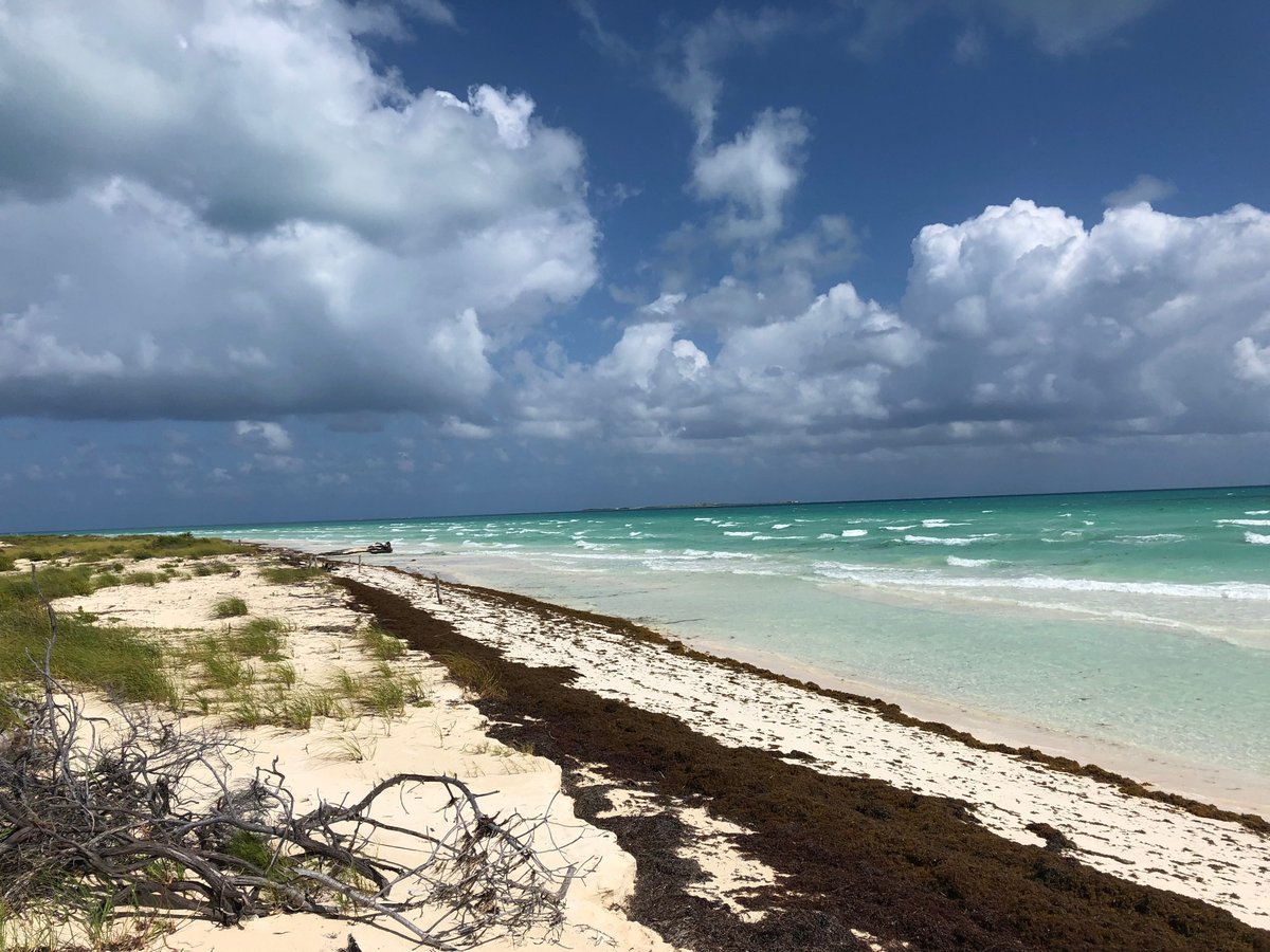 DE LAS GAVIOTAS (Cayo Santa María) - Qué SABER antes de ir