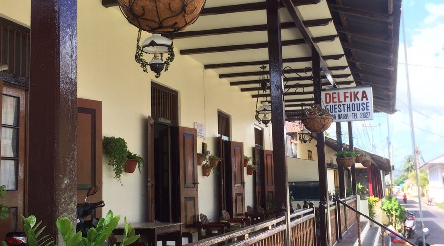 New Face from Delfika guesthouse