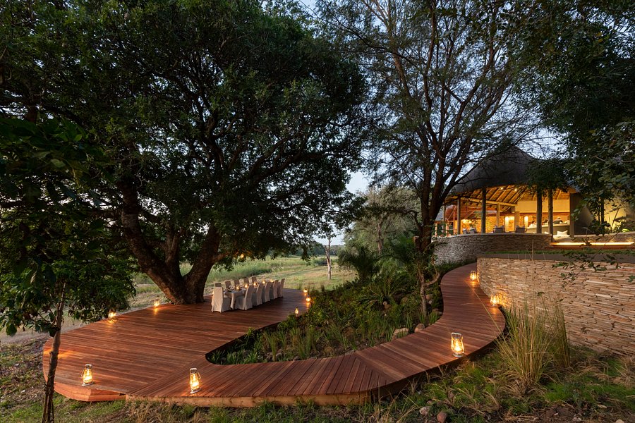 sabi sands tripadvisor 