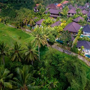 Dwaraka The Royal Villas in Ubud, image may contain: Resort, Hotel, Outdoors, Nature