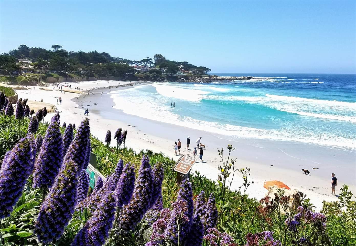 Carmel Beach Boardwalk All You Need to Know BEFORE You Go 2024