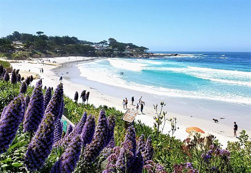 Take in the sunshine in Carmel Valley - Go Visit San Diego