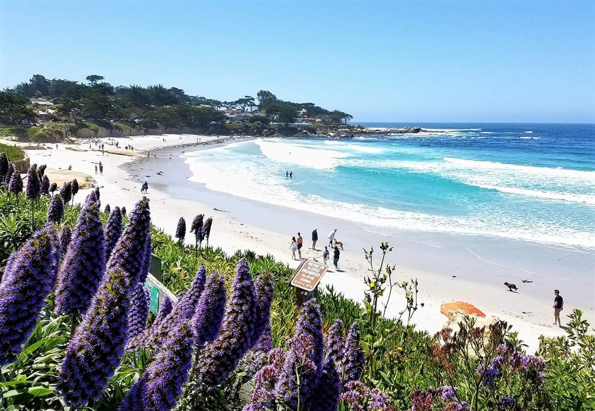 Carmel-by-the-sea