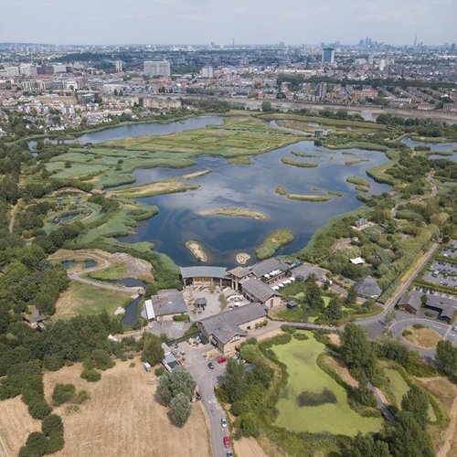 Top 10 outdoor lake activities to enjoy in London - Bird Watching and Wildlife Spotting