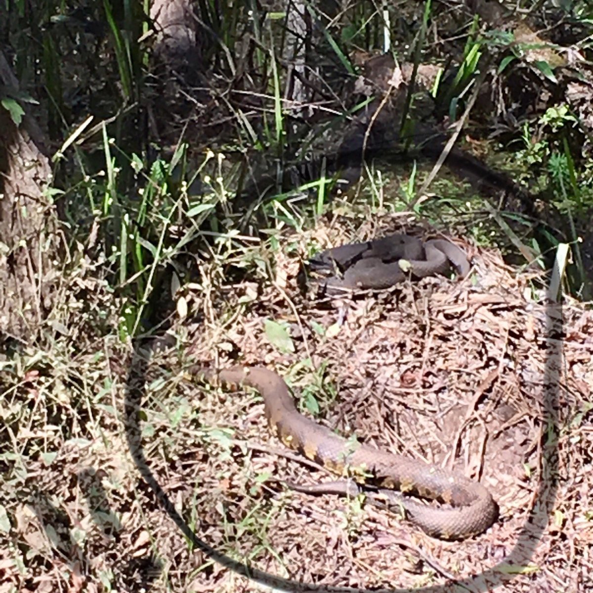 Reed Creek Nature Park (Augusta) - All You Need to Know BEFORE You Go