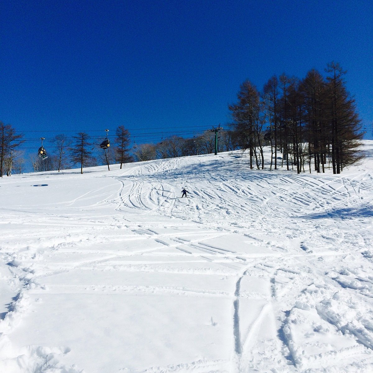 Waves park. Wave Snow.