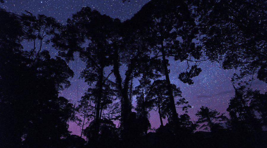 Starry Nights at Borneo Rainforest Lodge