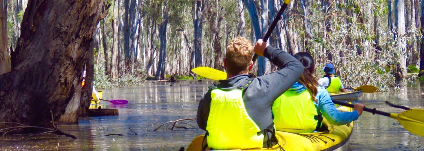 Kayaking tours around the Gunbower Forest, Cohuna Victoria