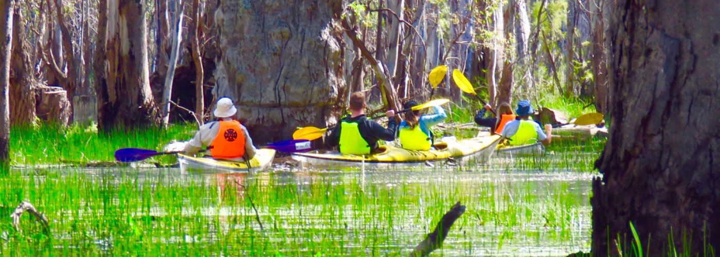 Kayaking tours around the Gunbower Forest, Cohuna Victoria