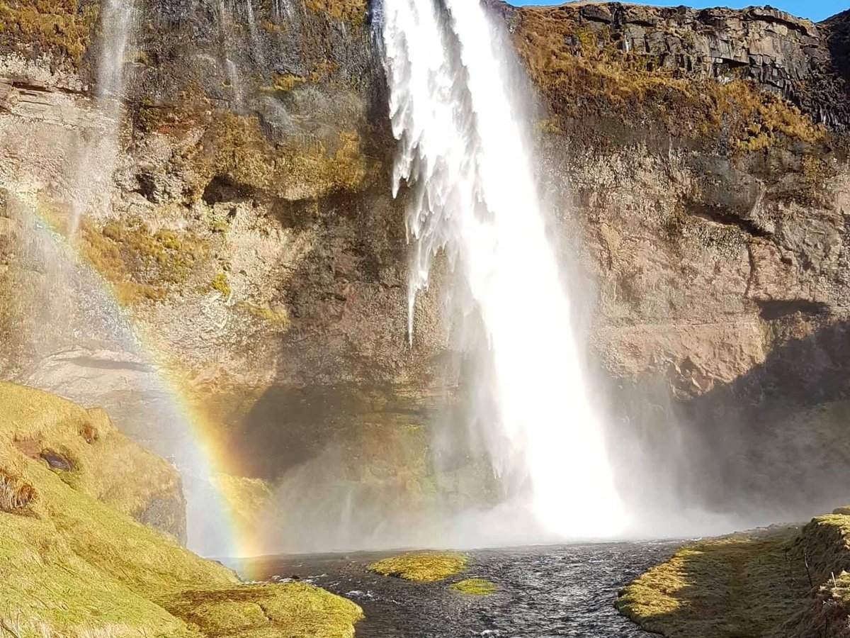 ICELAND LOCAL TOURS - All You MUST Know Before You Go (2024)