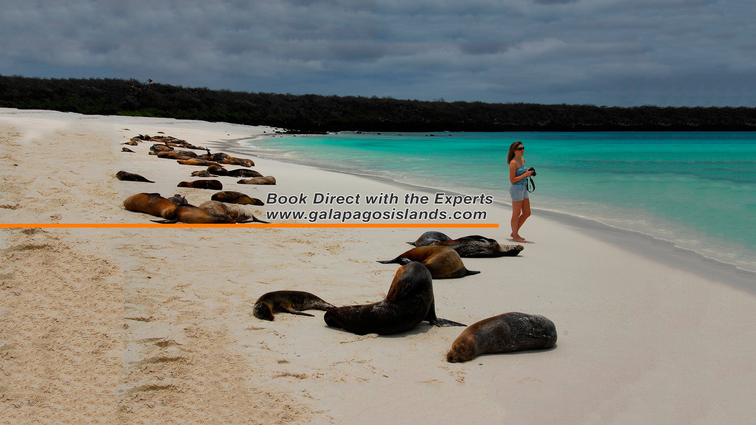 Galapagos Travel Center All You Need To Know BEFORE You Go 2024   You Can Dream It We Can 