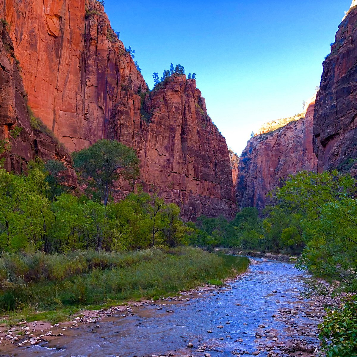 travel packages to zion national park