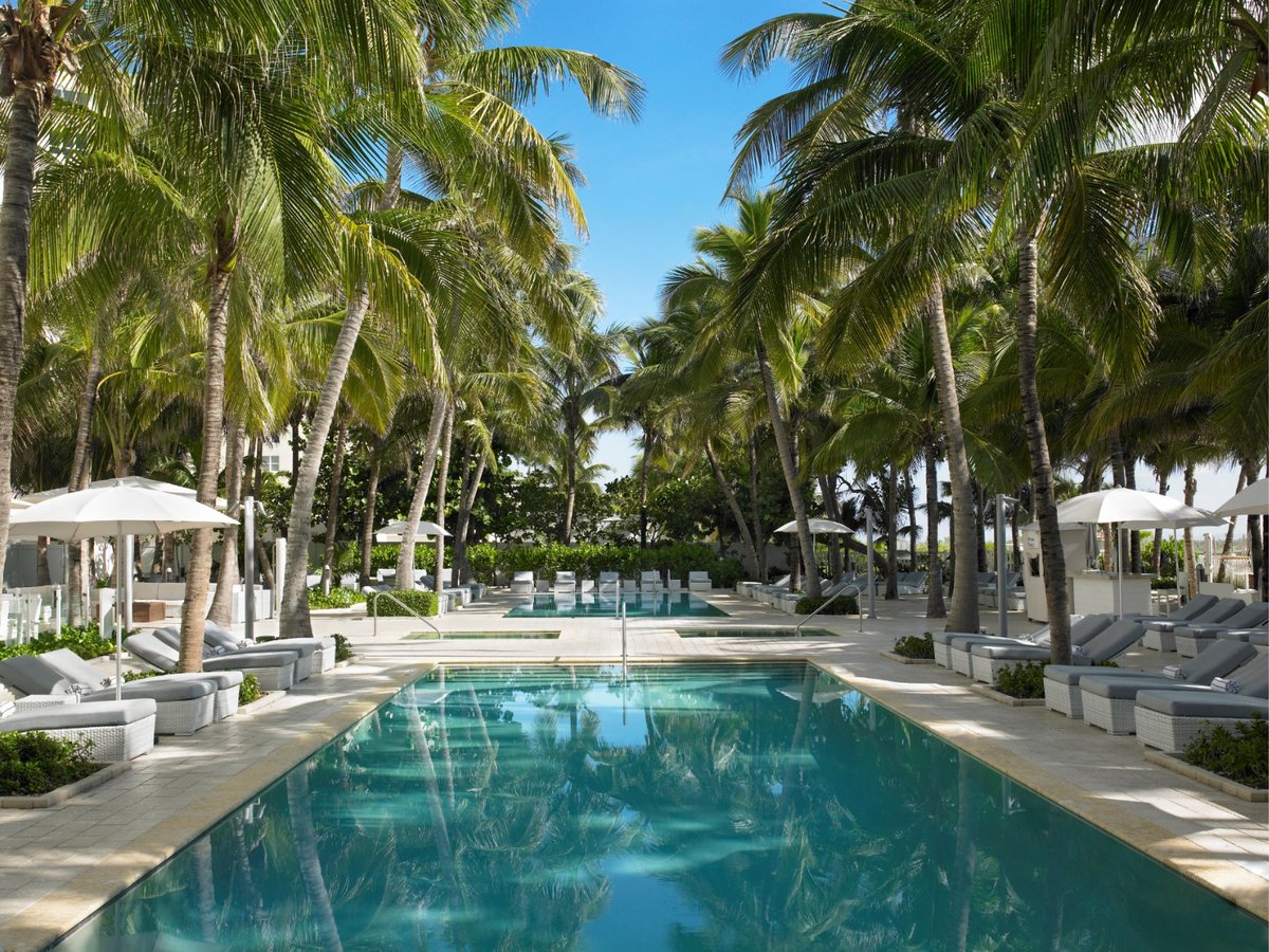 Grand Beach Hotel Miami Beach Pool Pictures & Reviews - Tripadvisor