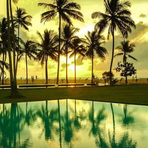 Pegasus Reef Hotel in Wattala, image may contain: Summer, Tropical, Nature, Outdoors