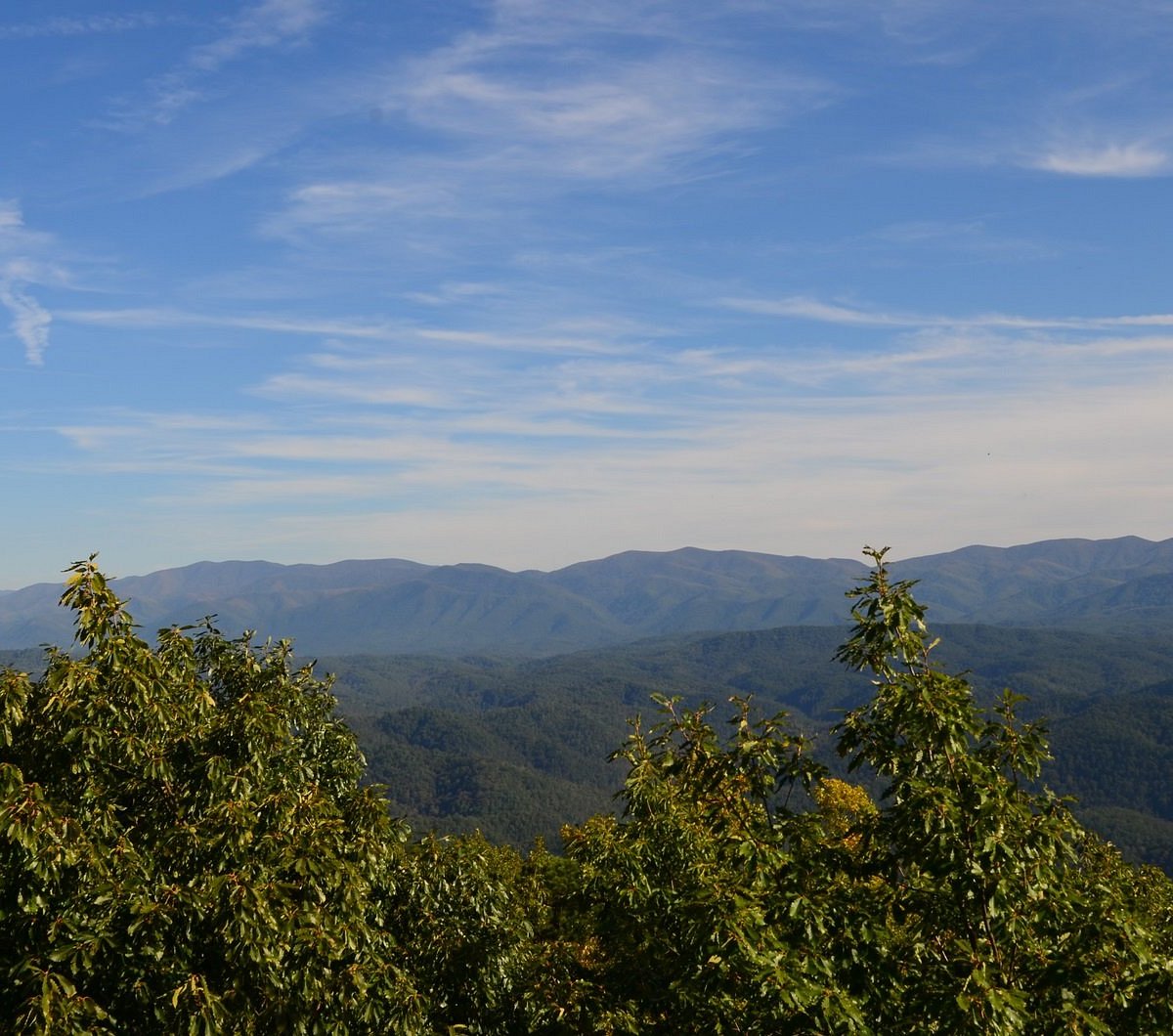 Deciviews from Look Rock, Great Smoky Mountains National Park: How Hazy is  it?