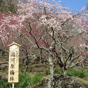 湯河原町10 大最佳旅遊景點 Tripadvisor 湯河原町10 大最佳旅遊景點 Tripadvisor