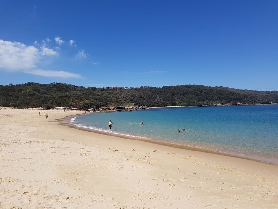 is congwong beach dog friendly