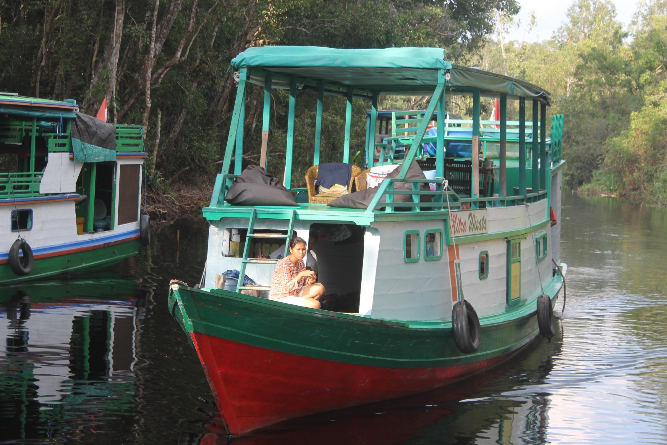 Bee Borneo Ecotourism Dayak Adventure (Pangkalan Bun, Indonesia ...