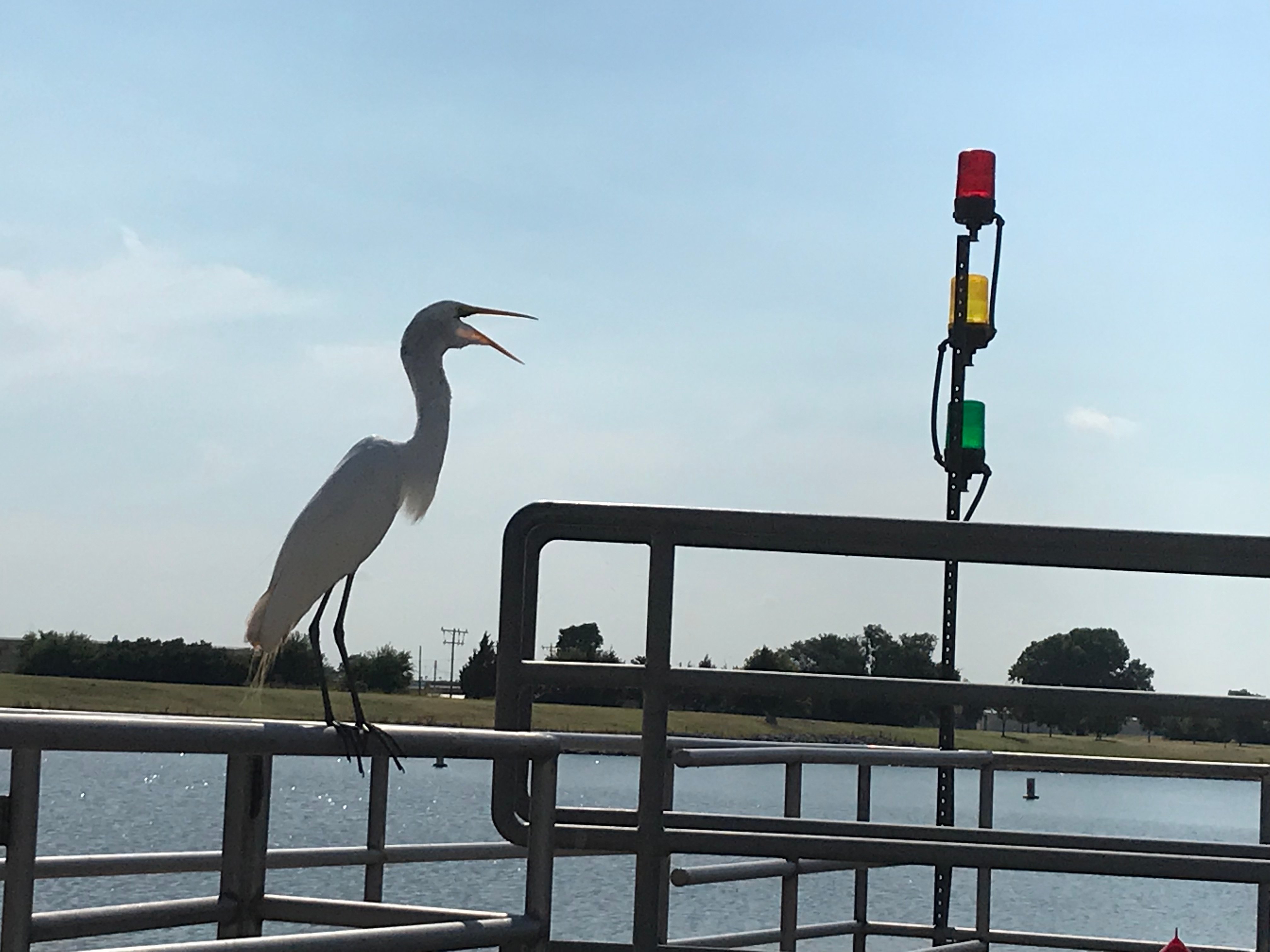 Oklahoma River Cruises All You Need To Know BEFORE You Go 2024   Enjoy The Wild Life 