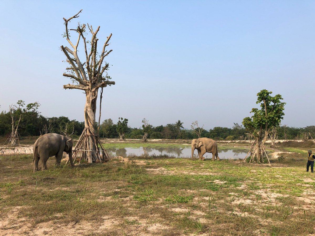 Wildlife Friends Foundation Thailand