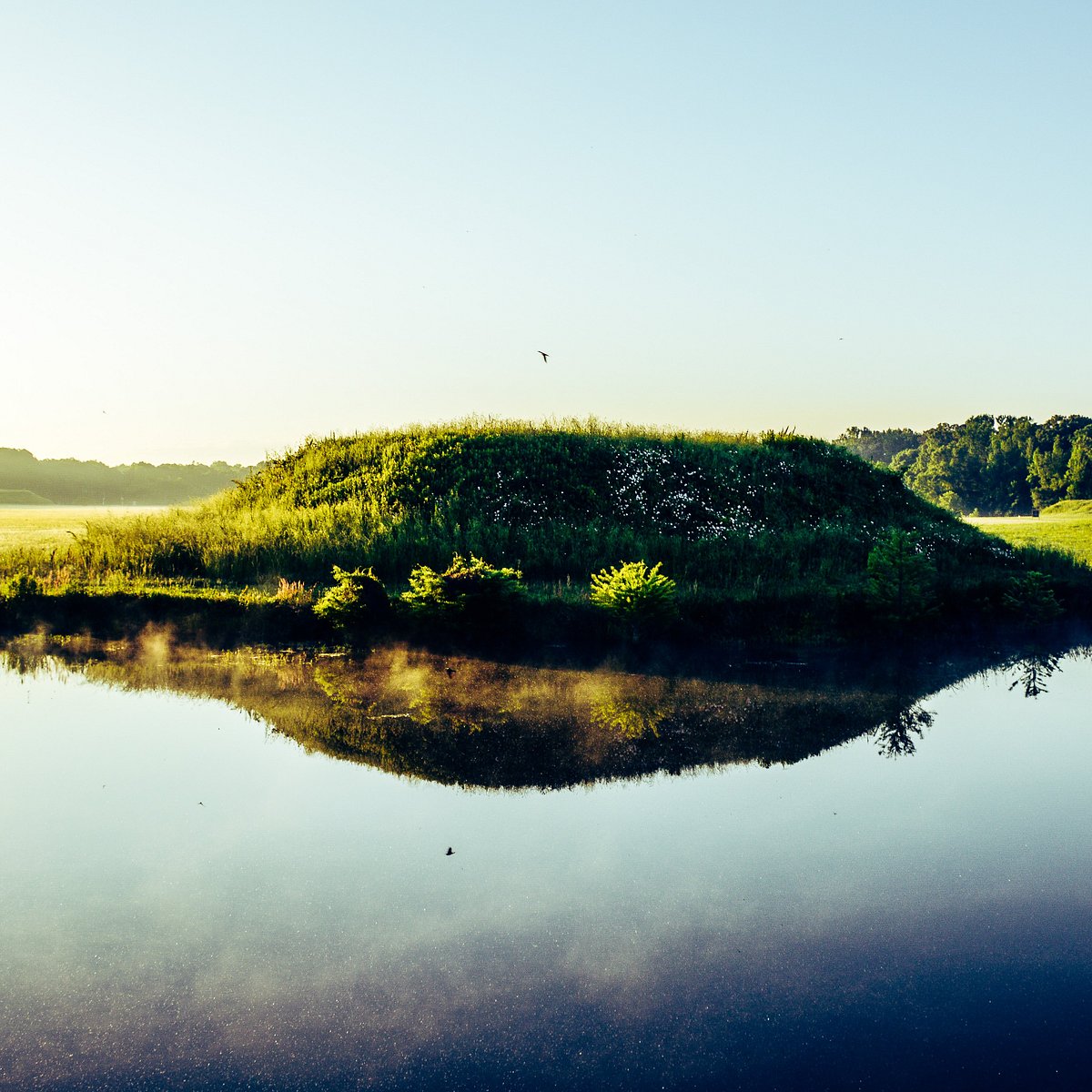 Moundville Archaeological Park - All You Need to Know BEFORE You Go (with  Photos)