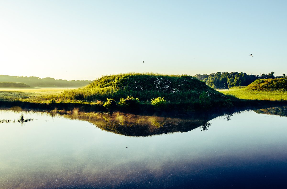 Step Back in Time: Uncovering Alabama's Ancient Secrets at Moundville Archaeological Park