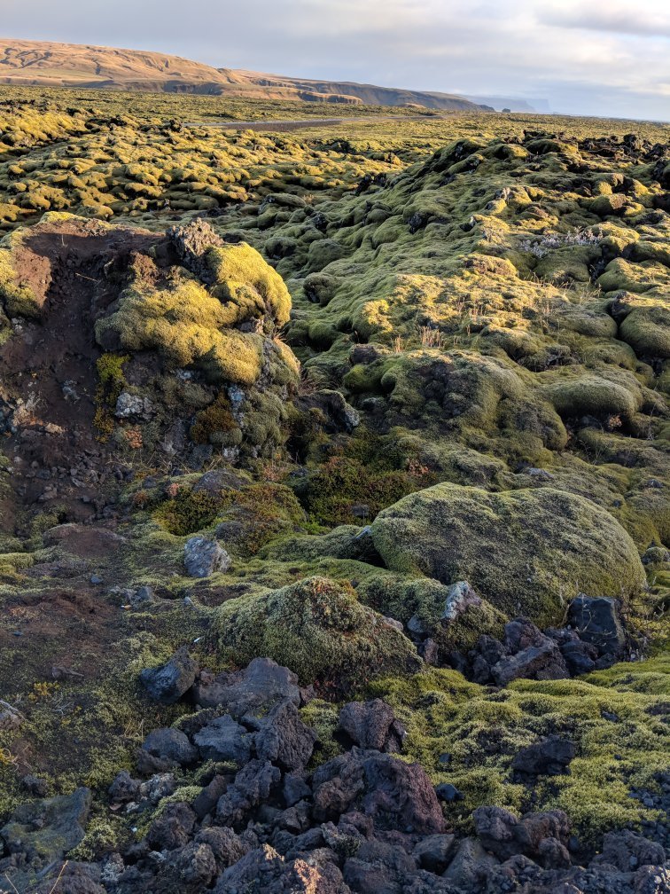 Scenic Green Lava Walk - All You Need to Know BEFORE You Go (2024)