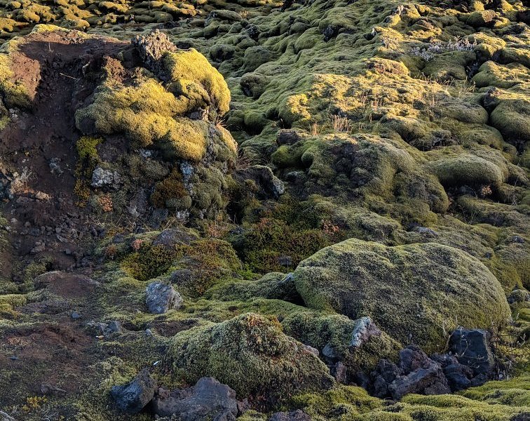 Scenic Green Lava Walk image