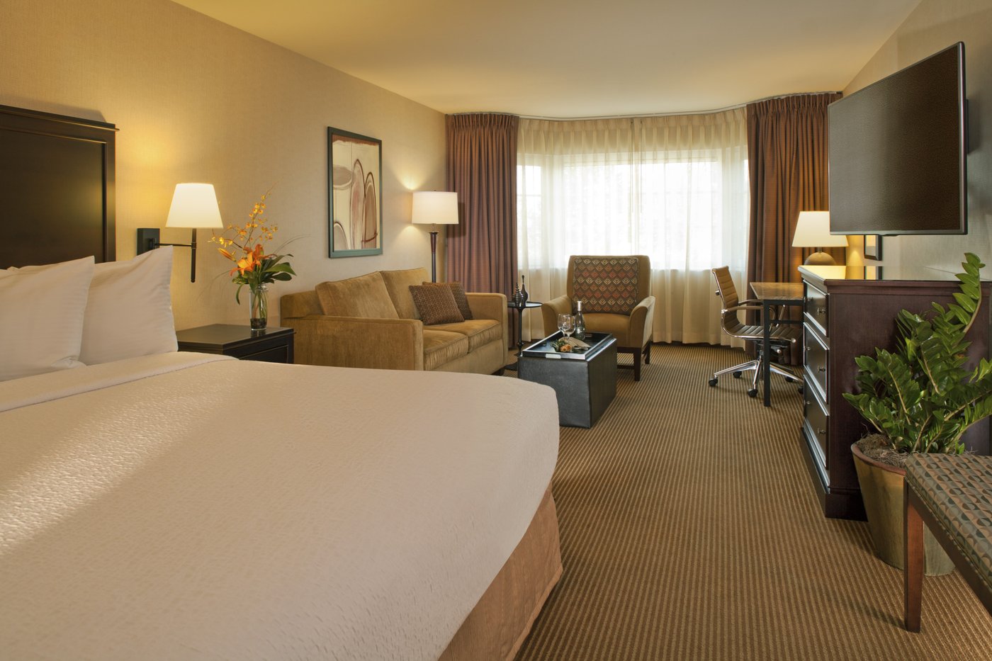 SILVER CLOUD HOTEL - SEATTLE BROADWAY - Updated 2024 Prices & Reviews (WA)