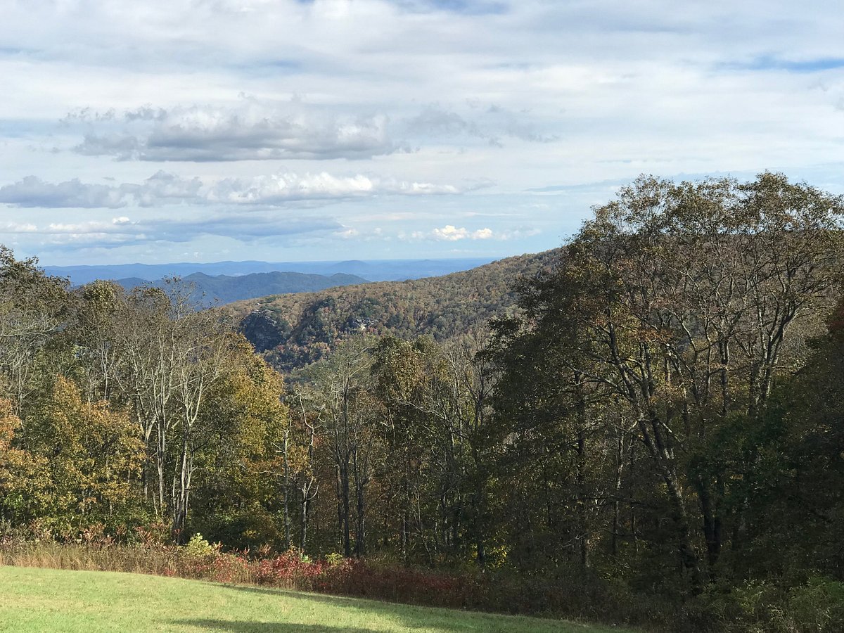 THE BEST 10 Bubble Tea near Linville Falls, NC - Last Updated September  2023 - Yelp