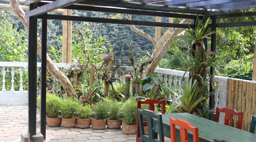 Jardín con vista al bosque nublado