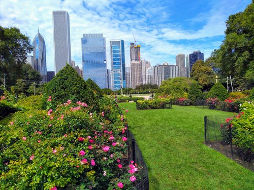 se permiten perros en los parques de chicago