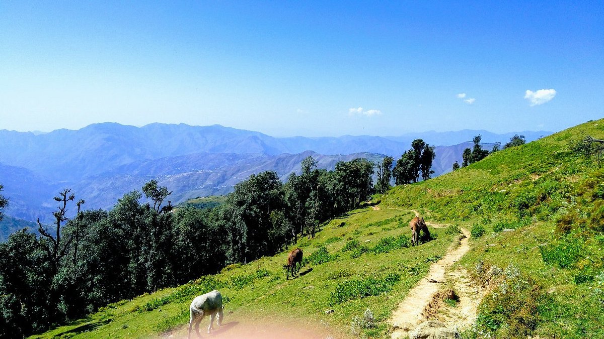 Nag Tibba, Dehradun District: лучшие советы перед посещением - Tripadvisor