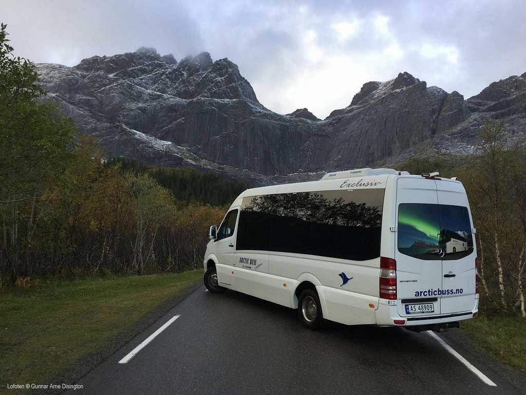 lofoten tours buss