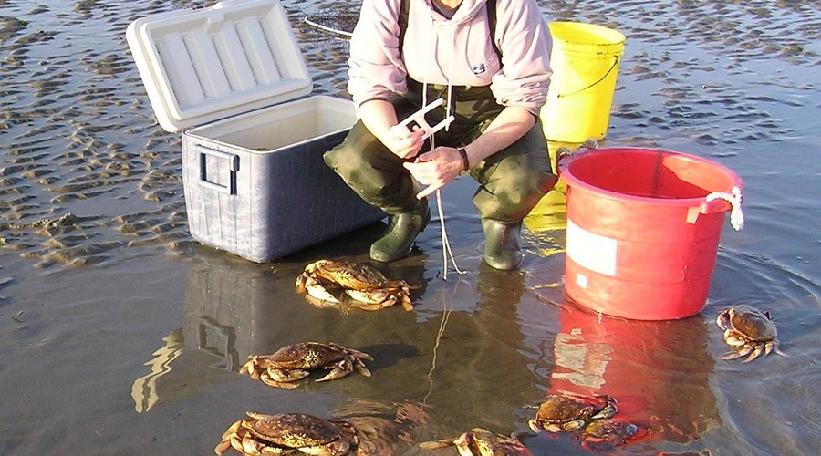 crabbing adventures!