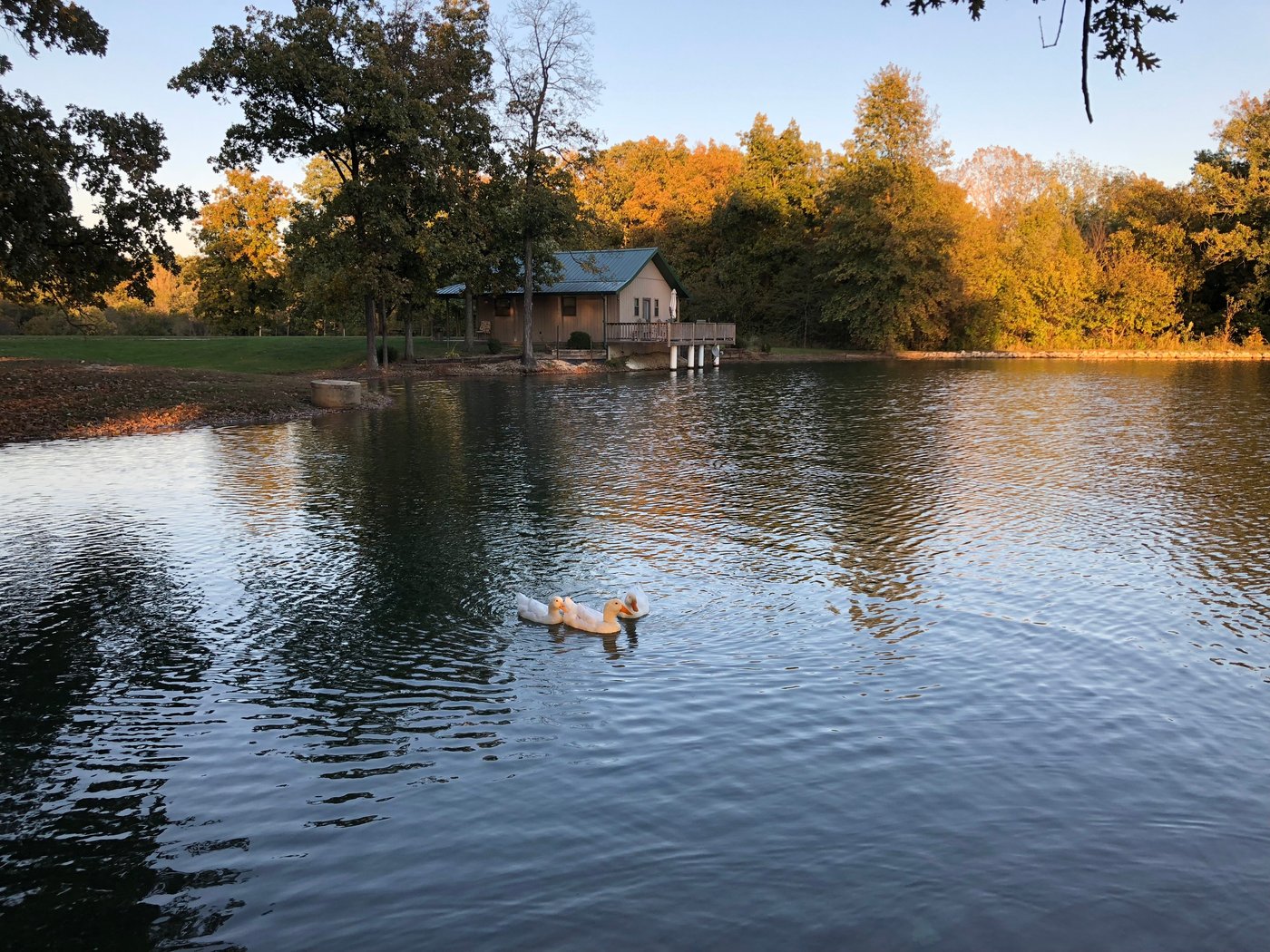 Escape to Tranquility: Arkansas' Spring Creek Campground