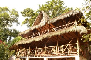 Hostal Pakay in Tena