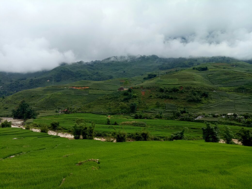 Nếu bạn yêu thích huyền thoại và khát khao trở thành một khoa học gia của các vũ trụ, hãy xem một hình ảnh vẽ kiếm rồng thần thoại của chúng tôi. Được vẽ bằng tay tài năng của các họa sĩ, hình ảnh này tuyệt đẹp và chắc chắn sẽ truyền cảm hứng cho bạn để khám phá thêm về thế giới tuyệt vời của chiêu lưu và phiêu lưu.