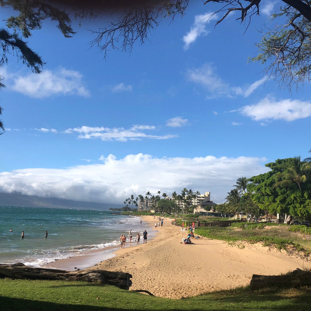 Kamaole Beach Park Review Maui Beaches Maui Guide, 54% OFF