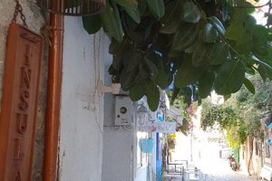 Seyahat Eden