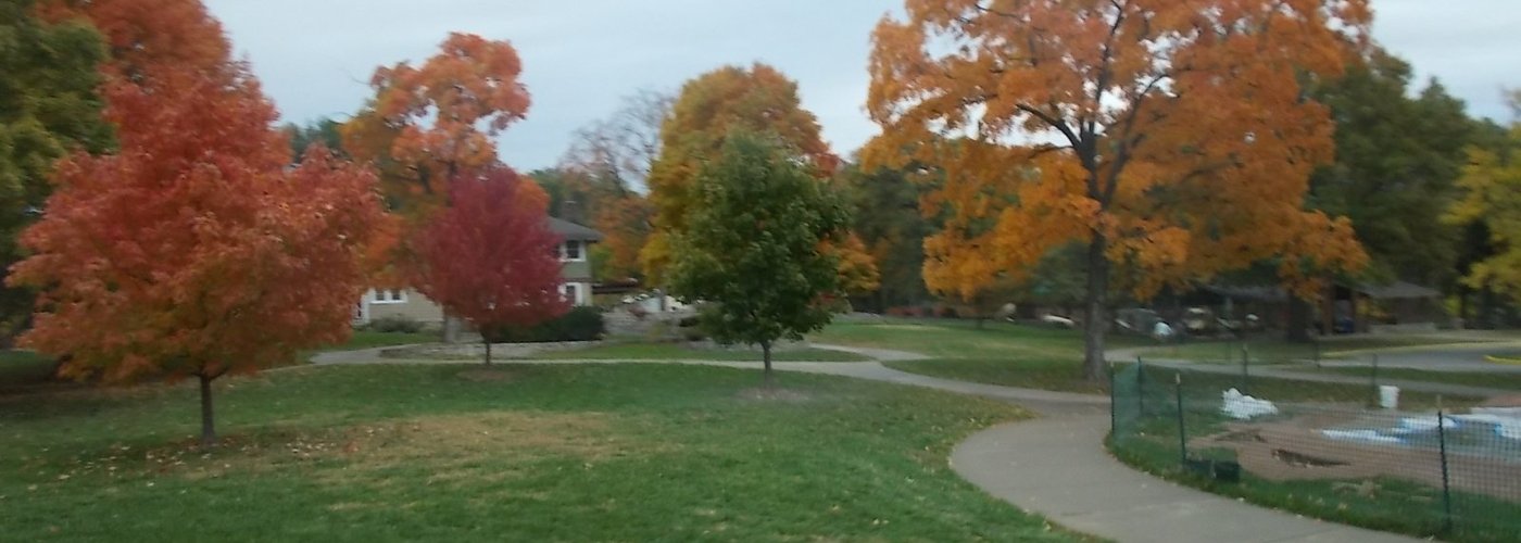 Trees at the park