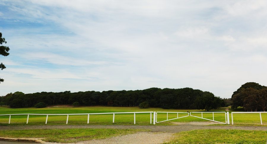 The park