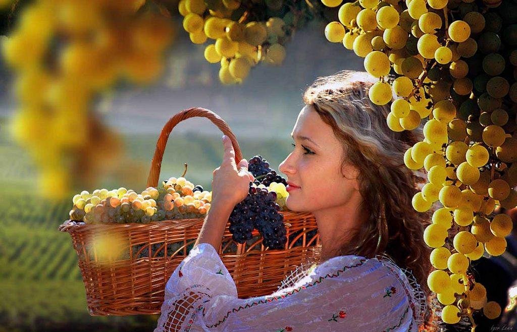 Young Beautiful Woman Holds Black Grape Stock Photo - Image of indoor, color: 55