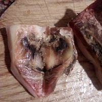 Un poco Asqueroso por dentro.1