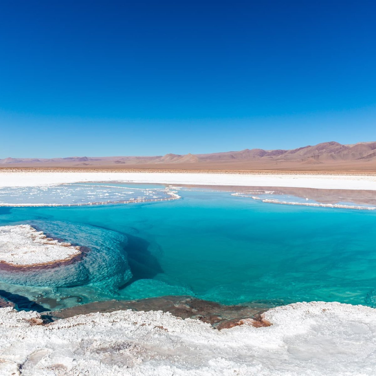 Lagunas Escondidas de Baltinache (San Pedro de Atacama) - Alles wat u ...