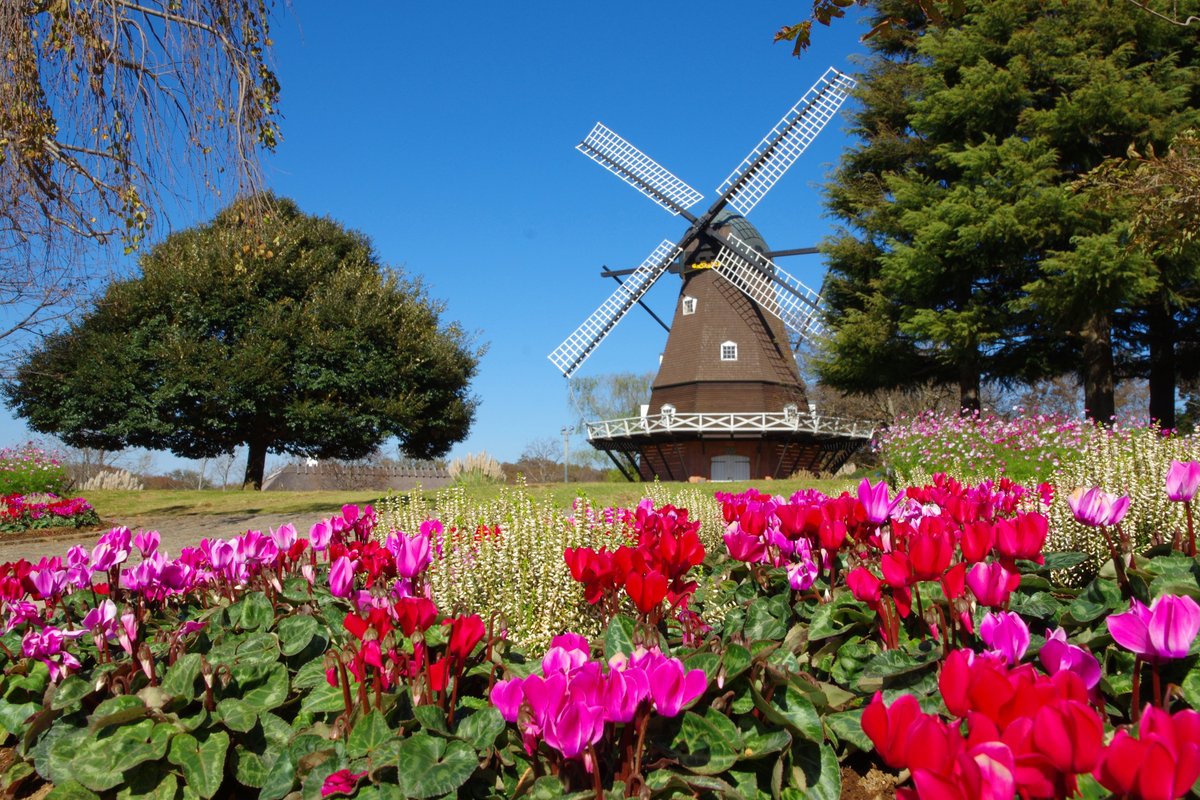 Funabashi Andersen Park Ce Qu Il Faut Savoir Pour Votre Visite